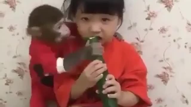 Jealous monkey wants to eat | funny animals | must watch