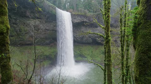 waterfall in the forest