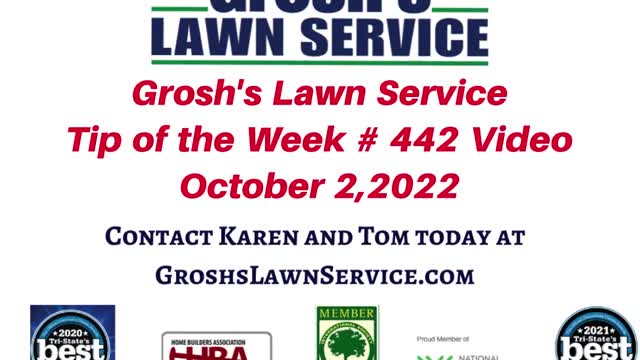Leaf Cleanup Hagerstown Maryland Lawn Mowing Service