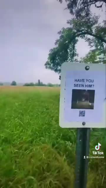 Scary Boards-Warning🚫☠️#Scary#Death