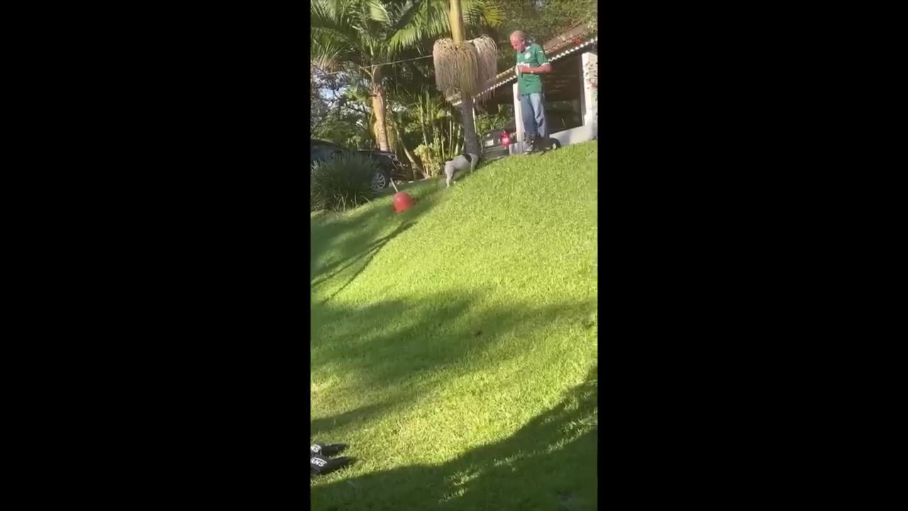 Funny fails video