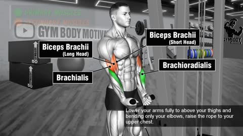 Amazing Exercise For Biceps & Triceps Workout At Gym. GYM BODY MOTIVATION