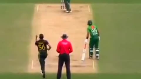 fans-video cricket lovers-video #cricket #cricketlover