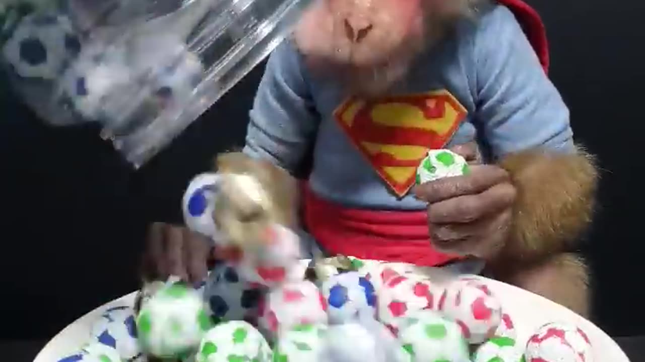 Cute Baby Monkey Eats Candy Balls