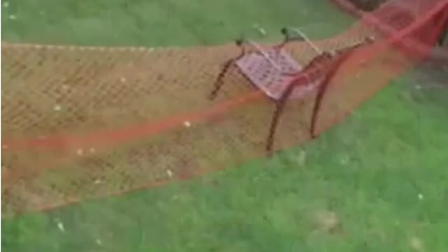 Funny Dog Fails 2022😂😂😂