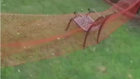 Funny Dog Fails 2022😂😂😂