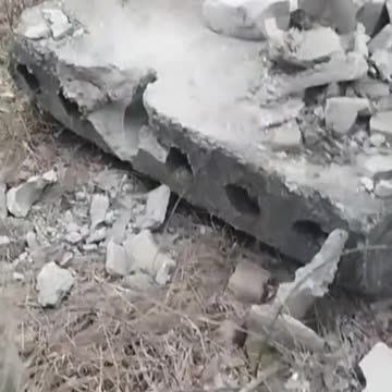 Ukrainians Rescue Dog Trapped in Concrete Block