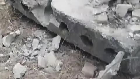 Ukrainians Rescue Dog Trapped in Concrete Block