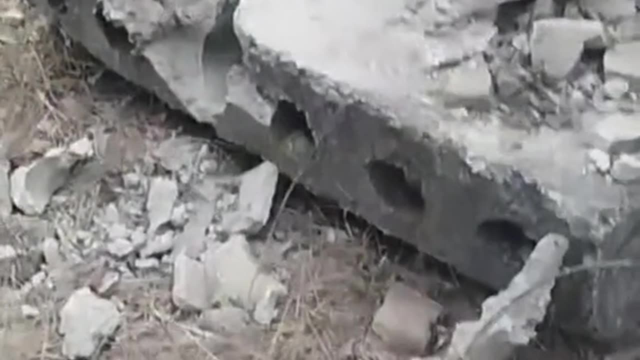 Ukrainians Rescue Dog Trapped in Concrete Block