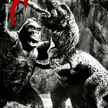 Top 10 Famous Monkeys In The World Part 1