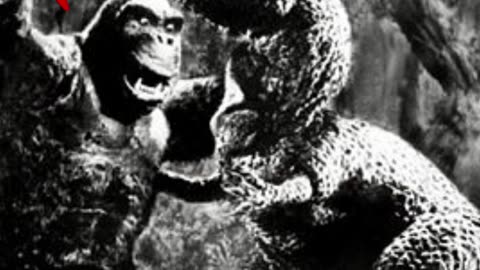 Top 10 Famous Monkeys In The World Part 1
