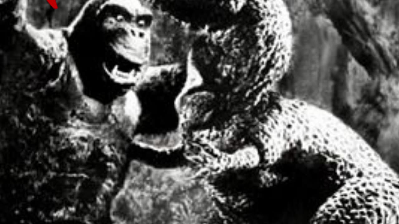 Top 10 Famous Monkeys In The World Part 1