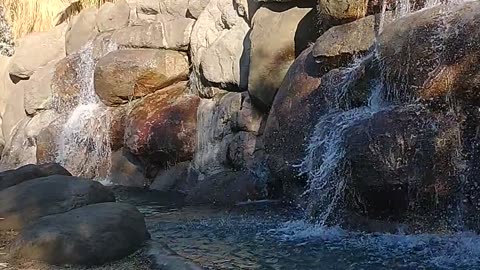 Like Trump would want for ya and God the boss to.