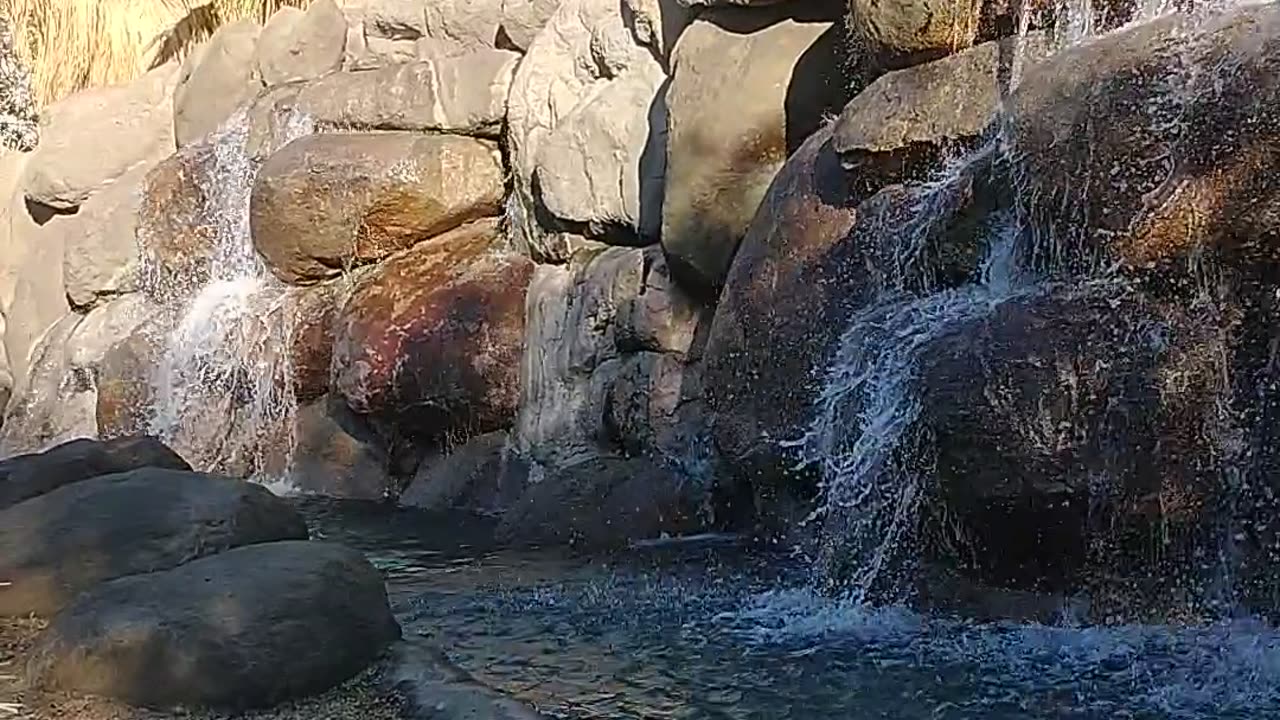 Like Trump would want for ya and God the boss to.