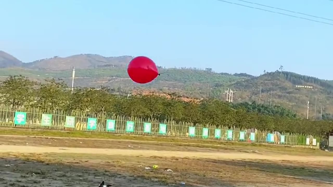 DOG play Ball