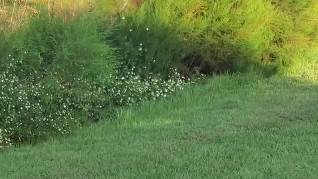 Move To Florida They Said!