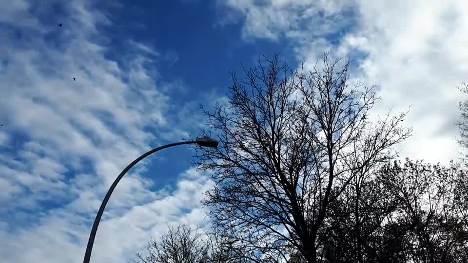 Himmel in Berlin am 9.11.2022 um 13:42 Uhr