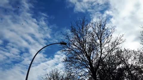 Himmel in Berlin am 9.11.2022 um 13:42 Uhr