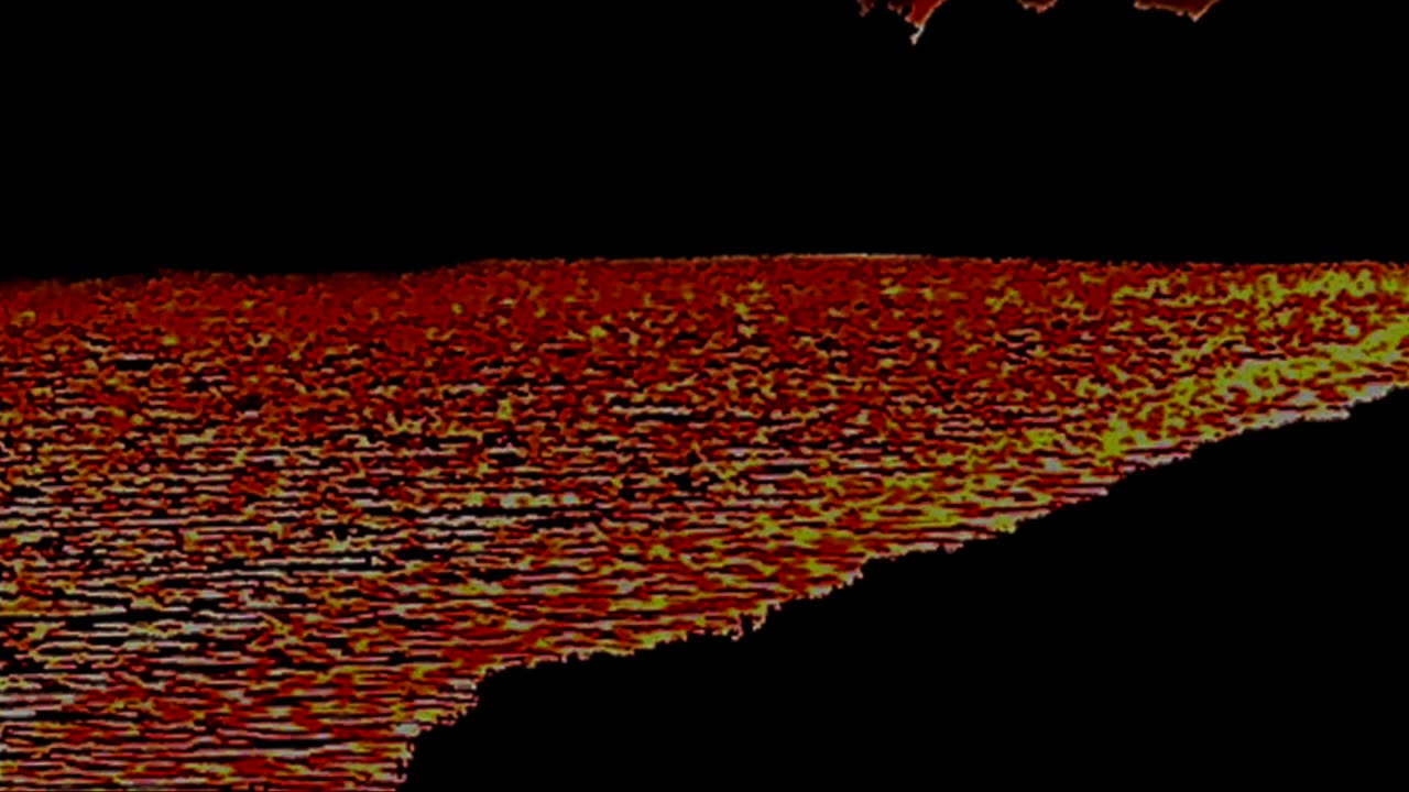 3 HOURS! Crickets, frogs and wind - Hot May night in Florida (3D spatial binaural audio)