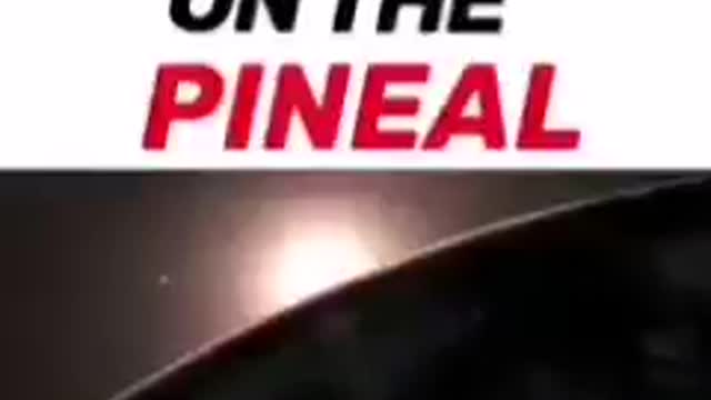 This is at war against the Penal Gland