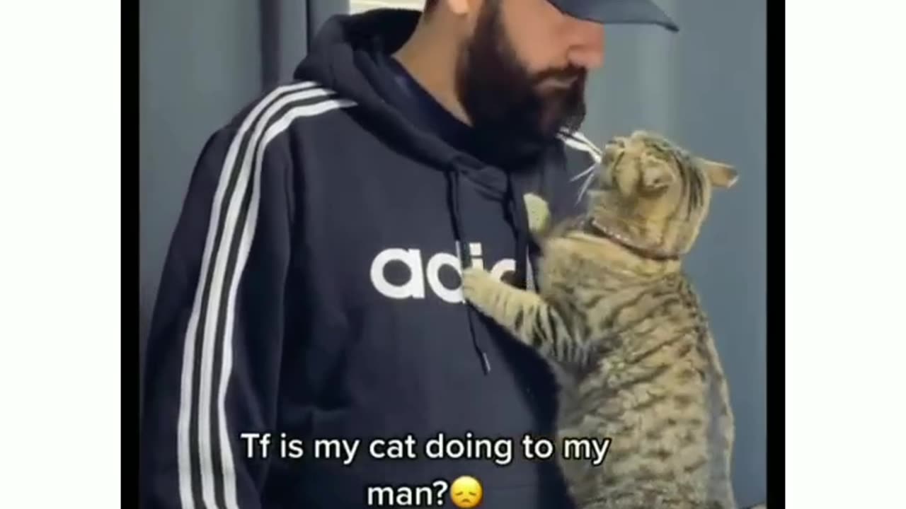 He belongs to the cat now😂😂 - Follow us @catscute.dailly for more 😻