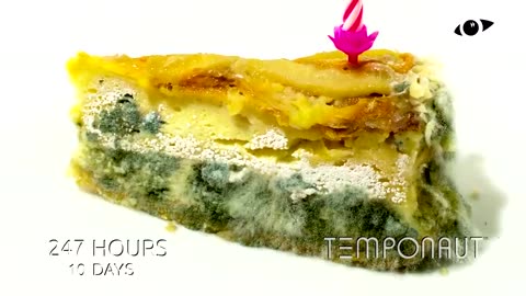Birthday Cake Timelapse