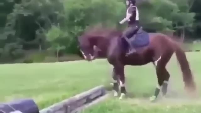 Funny and Cute Horses That Will Change Your Mood For Good