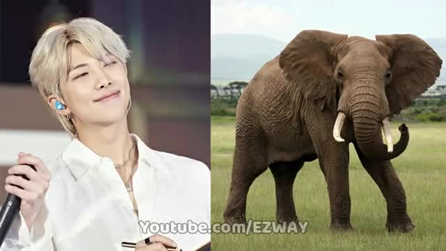 Animals that BTS Members