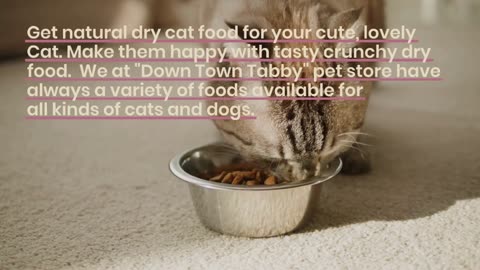 Get Best Dry cat Food at Downtown Tabby Pet Store