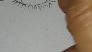 Eye Illustration