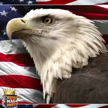 Time to smash them in the mouth.