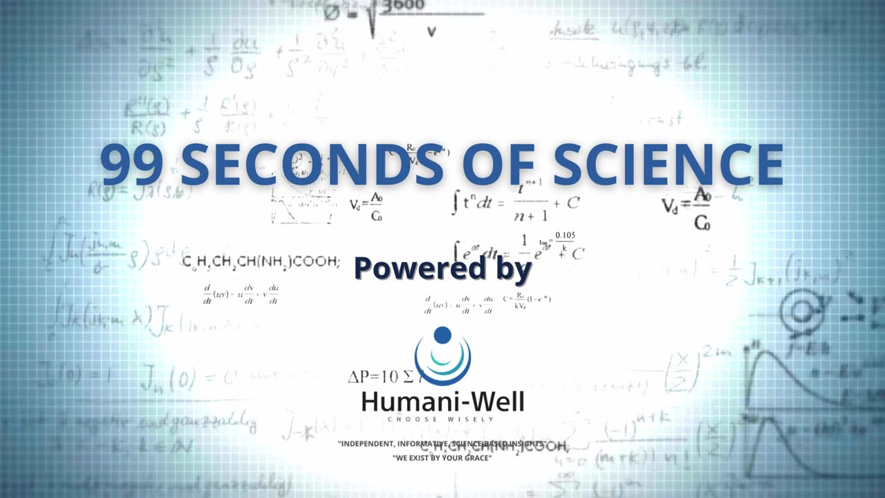 MSG Monosodium Glutamate - 2