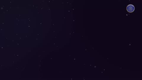 旧金山量子农场祝全球战友圣诞节快乐！🎄 —视频制作：玉米地的小蜗牛