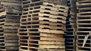 Uncovering the shocking truth about pallet recycling _ what you didn_t know_