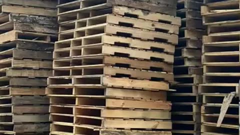 Uncovering the shocking truth about pallet recycling _ what you didn_t know_