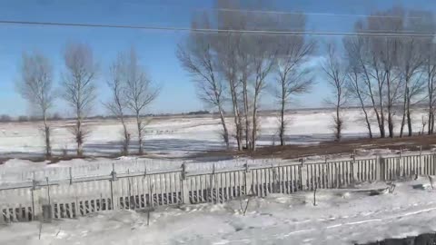 Beautiful white sno
