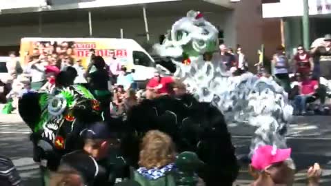 Real Dragon Sun Loong imperial D San Big Gold Mountain Bendigo Easter Parade_Cut