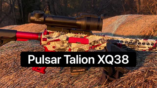 Pulsar Talion xq38 review