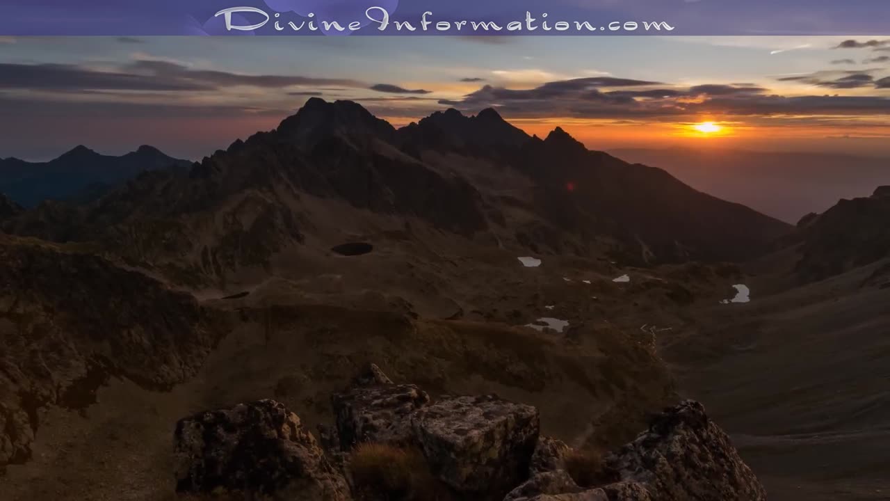 The Covenant & The Purpose of Life