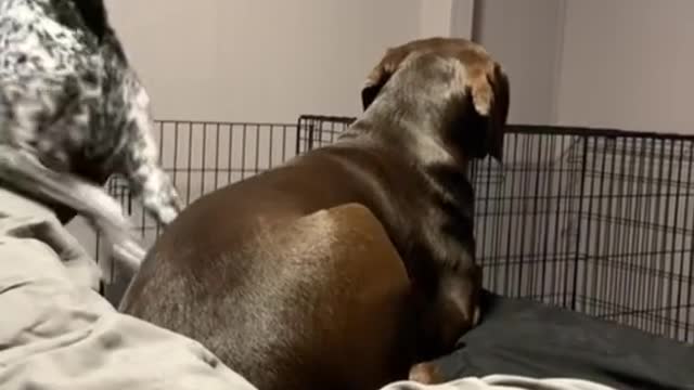 Wait for it