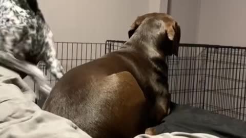 Wait for it