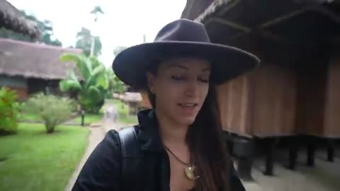 Amazon Rain ☔ Forest Exploring|100 Hours in Forest Live Experience|