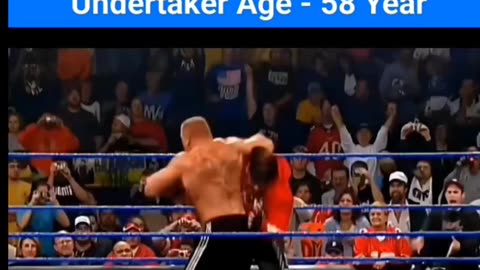 Brock vs undertaker