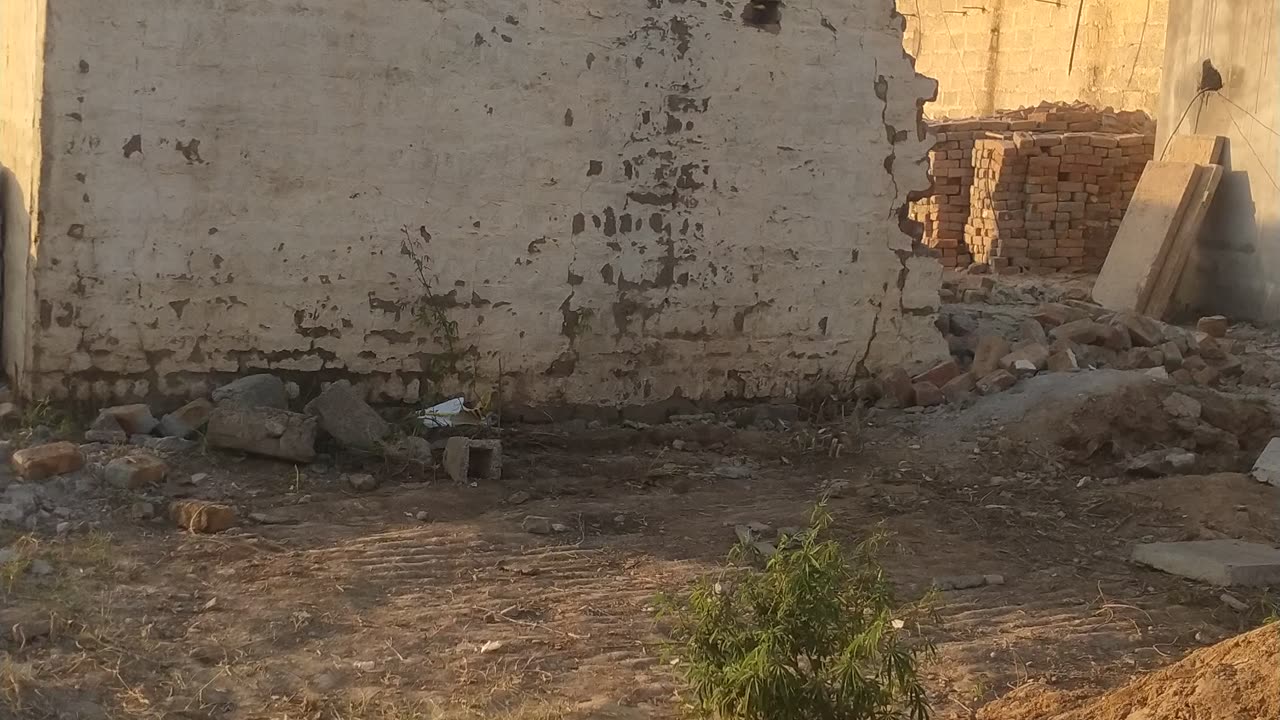 Village home