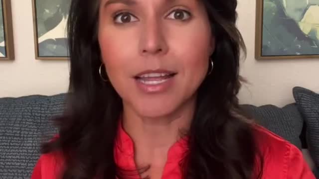 Tulsi Gabbard on the Ministry of Truth