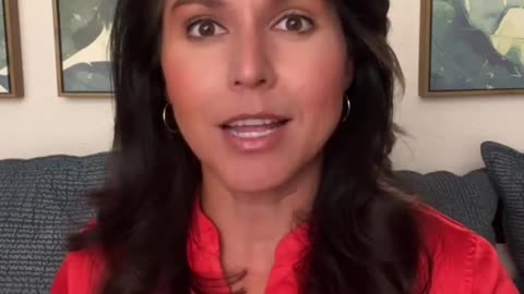 Tulsi Gabbard on the Ministry of Truth