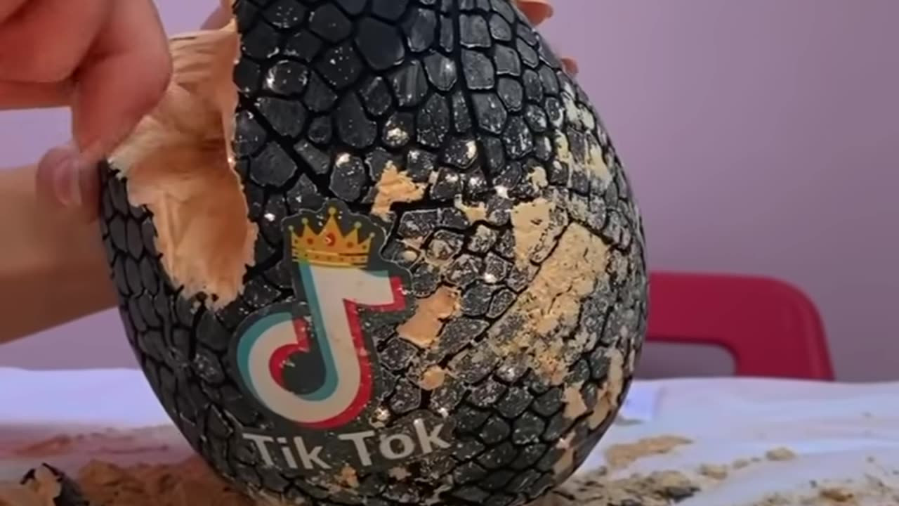 GIANT TIKTOK MYSTERY EGG!!😱 -asmr 2023- #Shorts