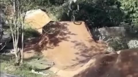 funny viral videos