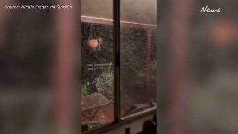 Mosquitoes Swarm Home in Regional New South Wales Amid Heavy Rain