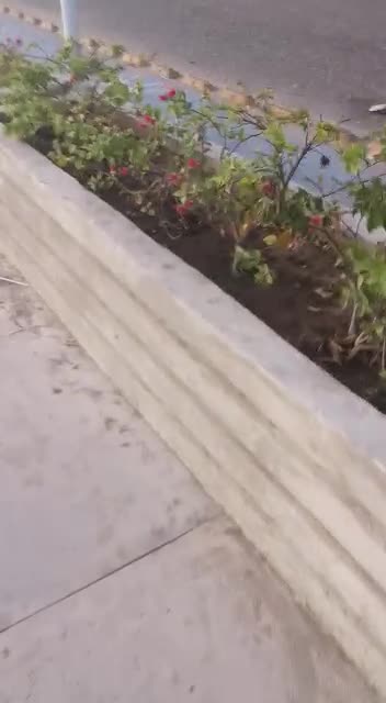 Vándalos atacan sendero peatonal